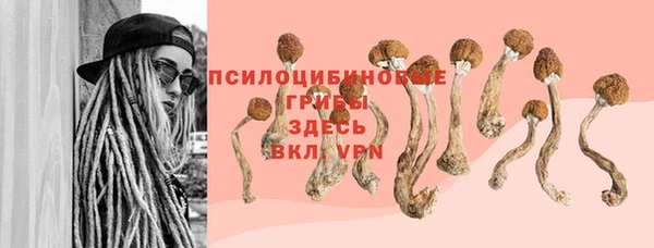 гидропоника Абинск