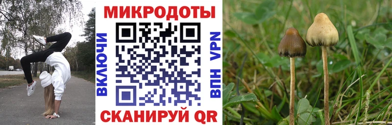 Псилоцибиновые грибы прущие грибы  сайты даркнета какой сайт  Магнитогорск  где можно купить наркотик 